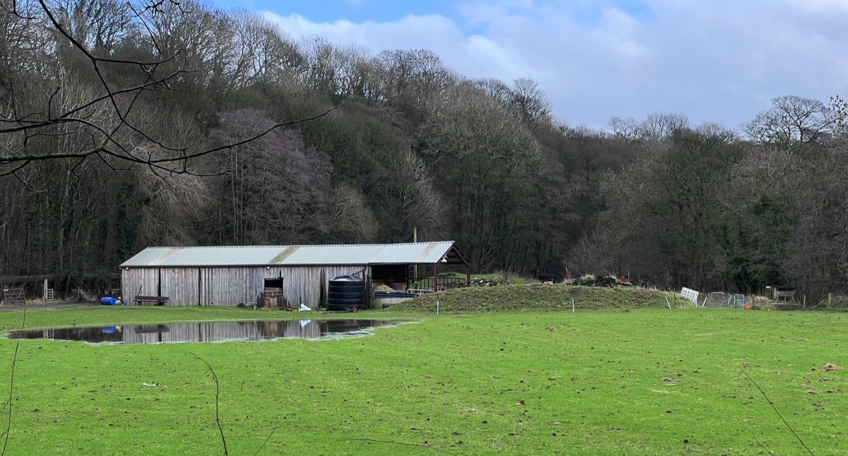 Stacks Image 12