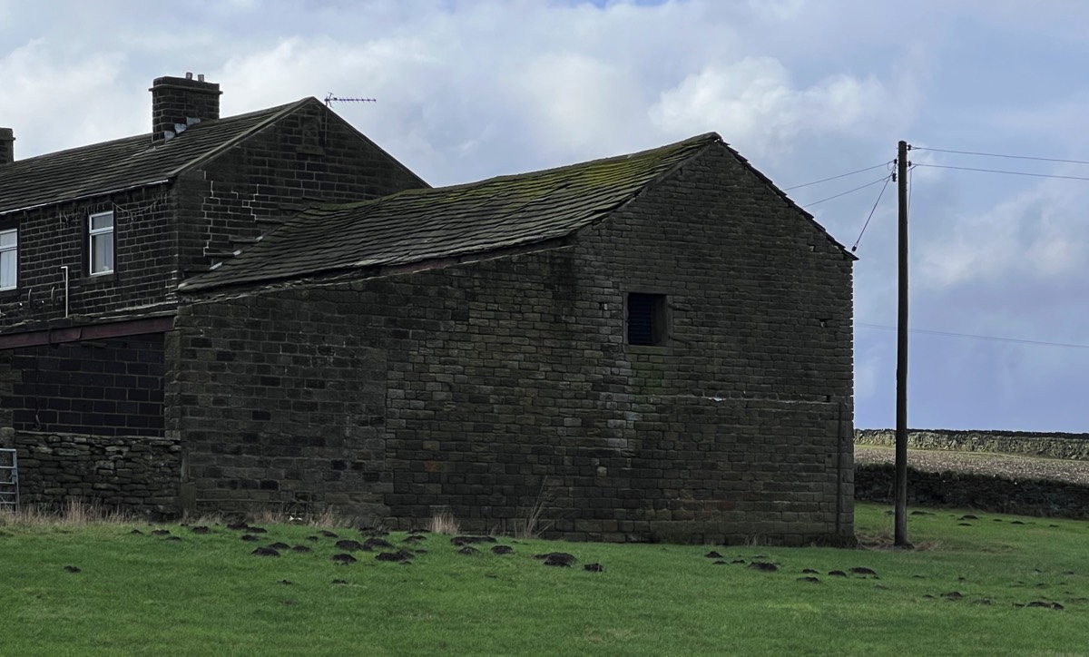 Stacks Image 12